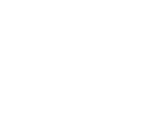 digital-50x51-1